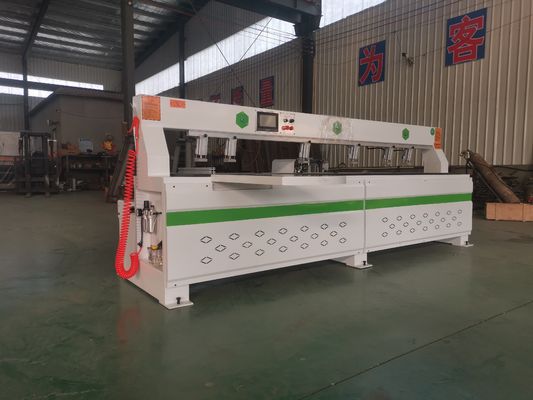 2.2kw*2 Spindle Power Wood Panel CNC Side Drilling Machine с 750 400w сервоприводным мотором